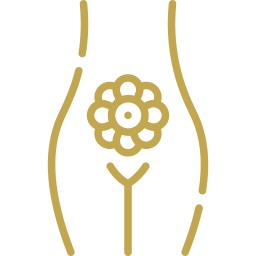 brassi ikoni